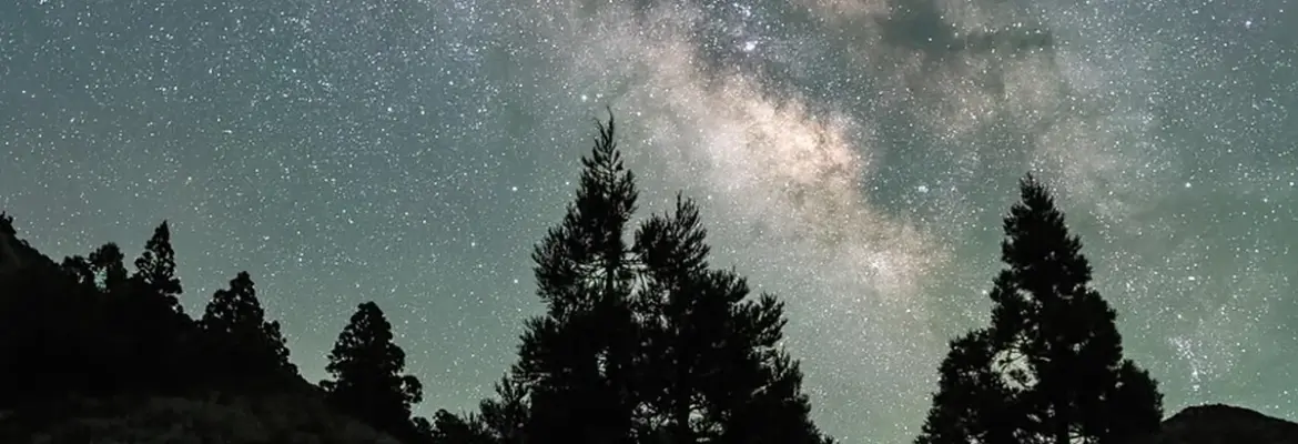 11 Ways Keke Palmer Is Redefining Success and Stealing Hearts