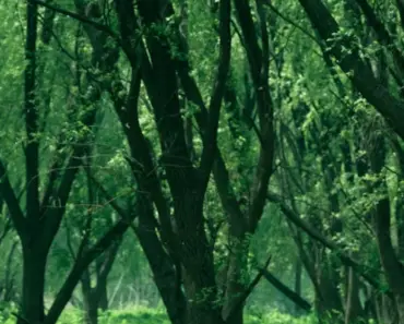 “5 Spring 2026 Lip Trends That Get a Thumbs Up from Pro Makeup Artists”