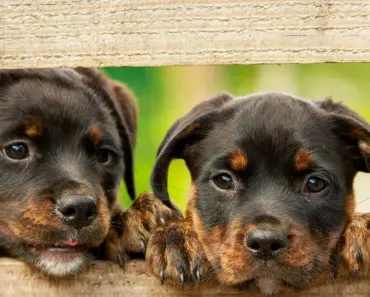 104 New Skills: Learn Something New Today *2026 Update: AI Skills