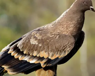 7 Surprisingly Cheap and Easy Garden Edging Ideas to Transform Your Yard