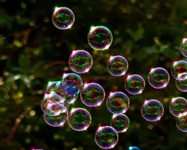 6 Easy Ways to Save Money When Landscaping Your Yard