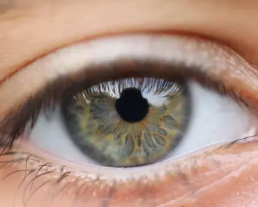 26 Vision Board Templates [Free & Printable for 2026]