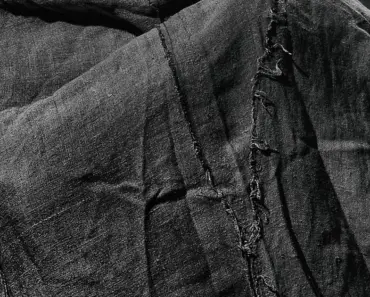 7 Shocking Reasons Your Pepper Plants Aren’t Producing Fruits and How to Fix Them