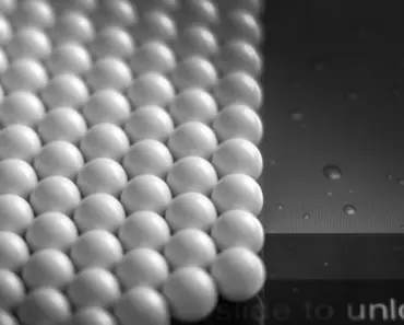 “Unlock Your Zodiac Secrets: 9 Hidden Meanings Behind Your Birth Month Animal”