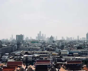 7 Thriving Spring Plants Dawn Must Plant in Her Arizona Garden This Season