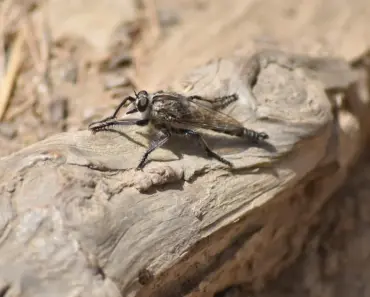 5 Surprising Benefits of Making Your Coffee at Home Beyond the Cost Savings