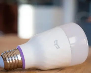 13 Smart Companion Planting Strategies for Small Gardens to Maximize Every Inch