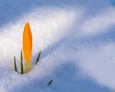 “13 Spring Shirt Trends People Are Ditching White Tees For This Season”