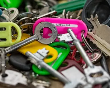 Unlock the Ancient Secret: 9 Birds That Reveal Your Destiny When You First See Each…