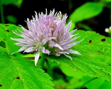 7 Summer 2026 Trends You Can Starting Wearing Right Now