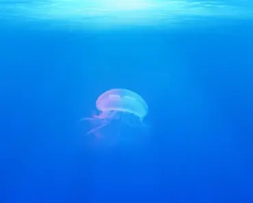 13 Life-Changing Planners for Ambitious Entrepreneurs in 2026