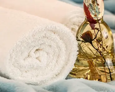 11 Essential Tips to Protect Your Plants from a Late Spring Frost