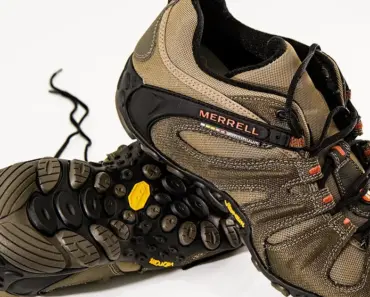 11 Resilient Plants and Hardy Vegetables That Thrive in Tough Conditions