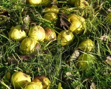 5 Must-Have Spring Statement Accessories That Every Girl Will Love This Season