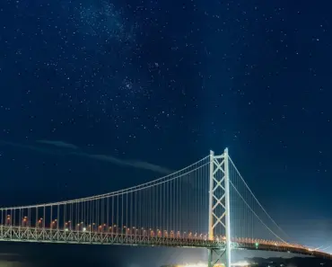 21 Longest-Flowering Bulbs to Plant This Season