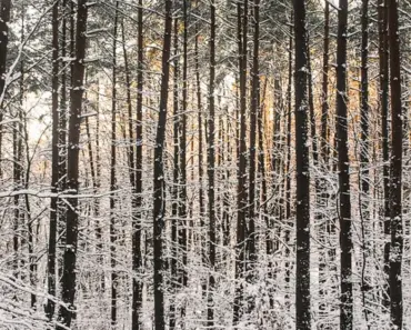 7 Hidden Aspects of Success the Classic Scale Can’t Quantify