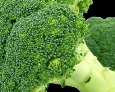 3 Vegetable Companion Planting Myths Plus, 3 Pairs That Work