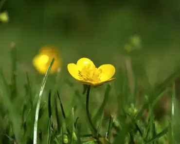 13 Spring Jacket Trends That Make Mornings Easier