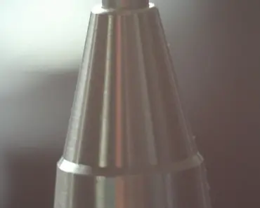 9 Tips to Make Tomato Plants Grow Faster