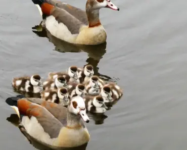 5 Spring Trends This Chic Parisian Mom Borrows From Her Daughters