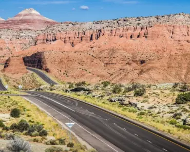 Discover the Perfect April Date for Starting Tomato Seeds in Your Goldilocks Zone of…