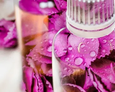 “11 Essential Tips from Gardening Expert Jessica Walliser for a Thriving Home Garden”