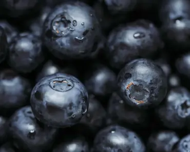 11 Superfoods That Fix Soil with Their Living Fertilizer Effect