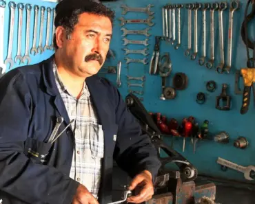 An Expert Guide for Gardeners