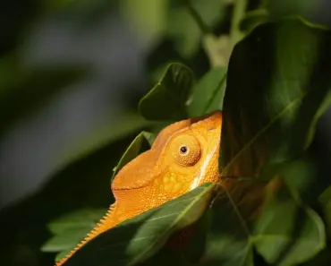 3 Hidden Thinking Traps That Drain 97% of Your Potential in Life