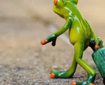 7 Ways Grow Lights Can Revolutionize Your Indoor Plant Success