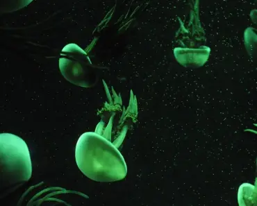 “7 Life-Changing Lessons from Amie Wine Founder Abbie Roden”