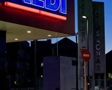 Aldi’s Secret Garden Steals: 5 Thrifty Flowers to Sell for Big Bucks, Including Annabelle…