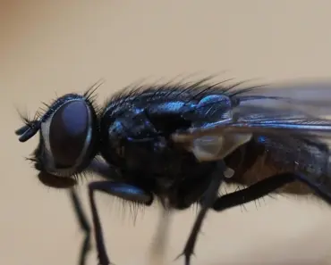 5 Must-Have Spring 2026 Trends That People Over 50 Can’t Stop Wearing