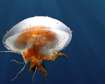 10 Life Choices You Will Regret in 10 Years (and Probably Even Sooner)