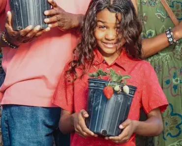 Zendaya’s 7 Most Iconic Lace-Trimmed Outfits Ever Worn