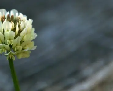 7 Spring Jacket Trends To Wear With Dresses in 2026