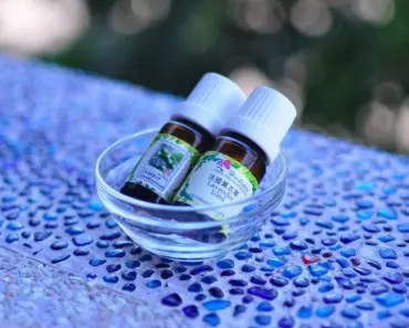 10 Essential Clauses to Include in Your Business’s Privacy Policy on Boxwood Ave for…