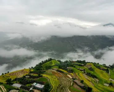 A Step-by-Step Guide