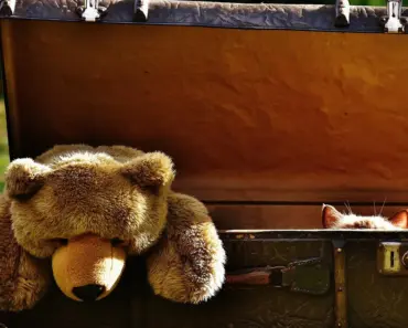 The Hidden Latte Factor: 7 Sneaky Ways We Overspend Every Day