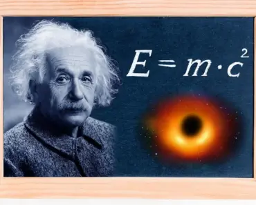 7 Genius Ways to Repurpose a $20 Clothing Rack for Instant Home Decor