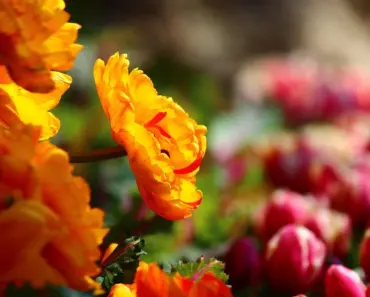 10 Hard Things that Are Always Worth Doing for Yourself (Before it’s Too Late)