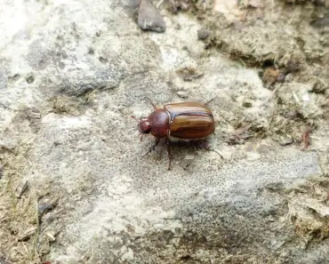 Nicole Kidman Steals the Spotlight in Chanel Eyewear’s Spring 2026 Campaign