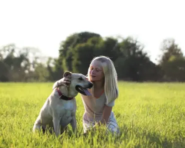 9 Best Superfood Powder Supplement Options for 2026