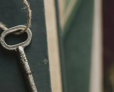 Unlock the Secret to Growing Loyal Tulips: 9 Essential Tips to Ensure They Come Back…