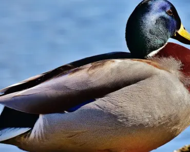 8 Shimmering Body Oil That Looks Expensive, Not Tacky