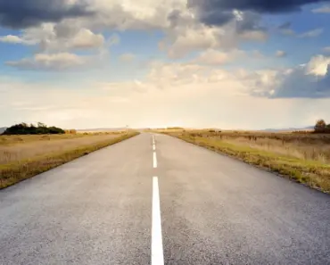 “7 Ways Los Amigos Community Garden Transforms East Harlem’s Landscape”