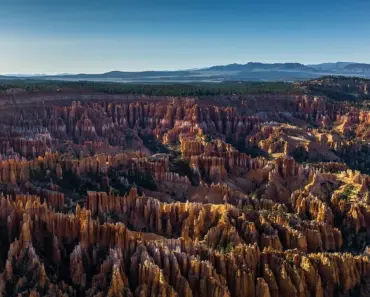 55 Famous Failures Who Became Super Successful