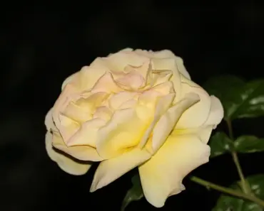 About Becoming Minimalist