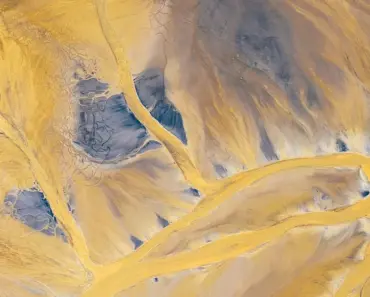 Top 3 April Peony Pitfalls to Avoid for a Blooming Success