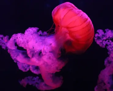 7 Life-Changing Hair Refreshers That’ll Level Up Your Styling Routine Overnight